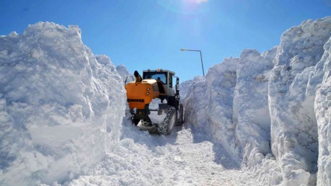 Muş'ta 5 metrelik karda yol açma çalışması