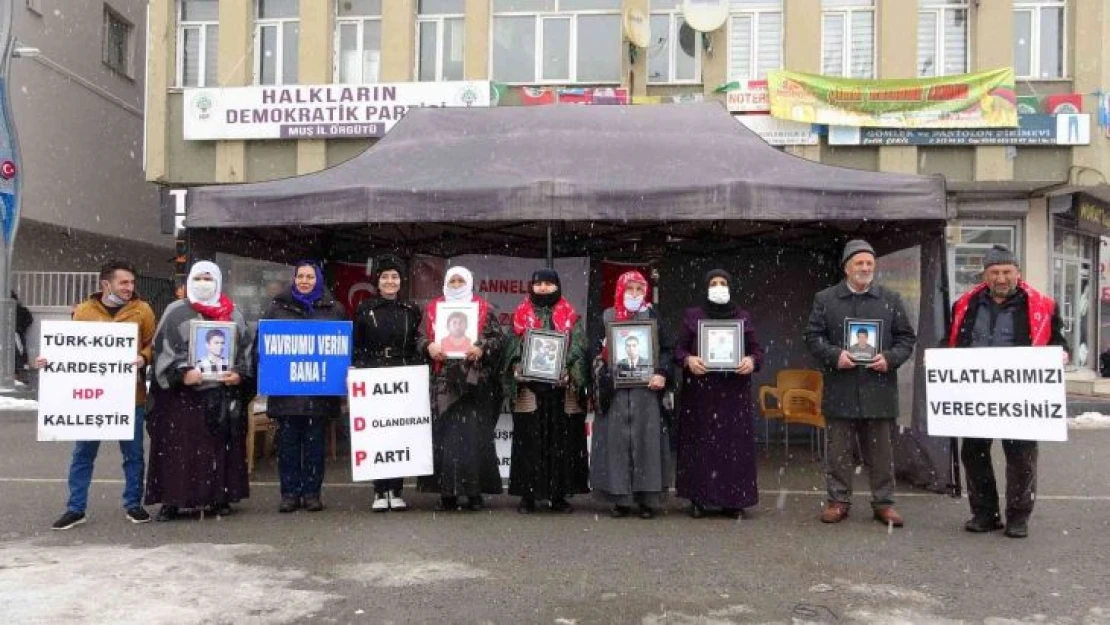 Muş'ta evlat nöbeti tutan ailelerin sayısı 29'a yükseldi