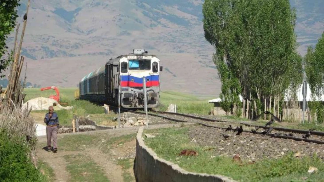 Muş'ta koyunlarını kurtarmaya çalışan besici yük treninin altında kalarak feci şekilde öldü