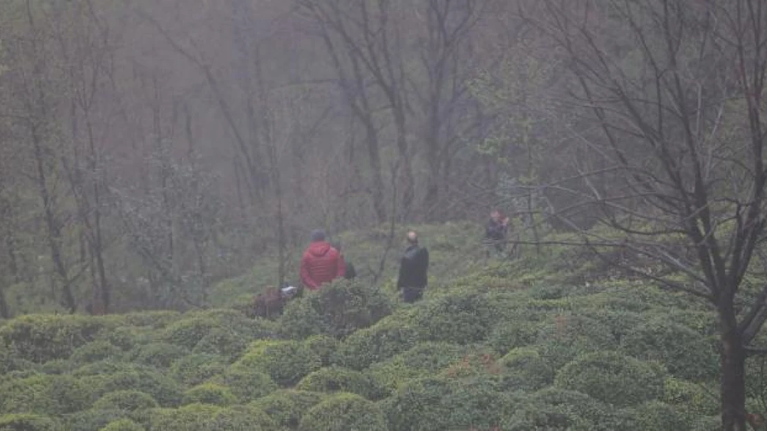 Rize'de otomobil uçuruma yuvarlandı: 1 ölü