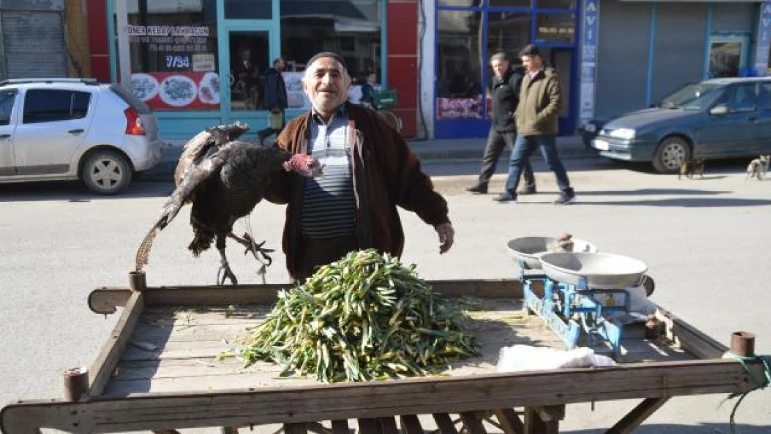 Baharın müjdecisi 'Çiriş' tezgahlarda yerini aldı