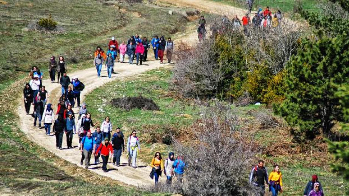 Sakarya'da doğa yürüyüşleri 