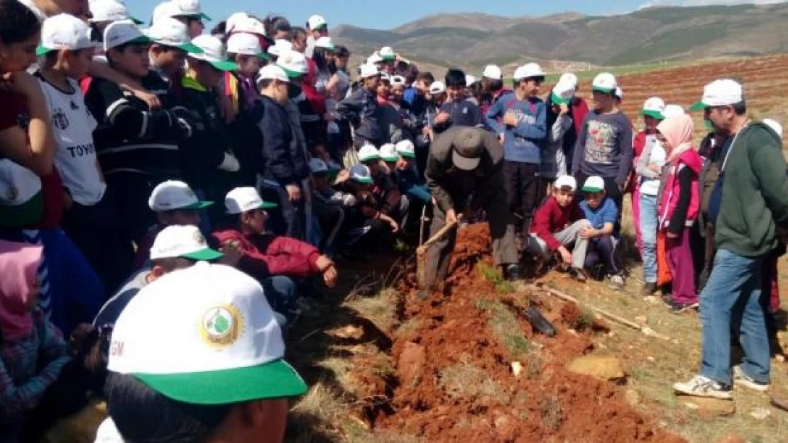 Hüyük'te fidan dikme etkinliği