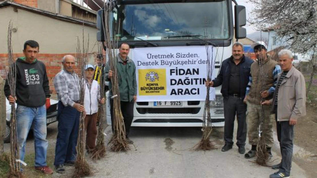 Konya'da fidan dağıtımı