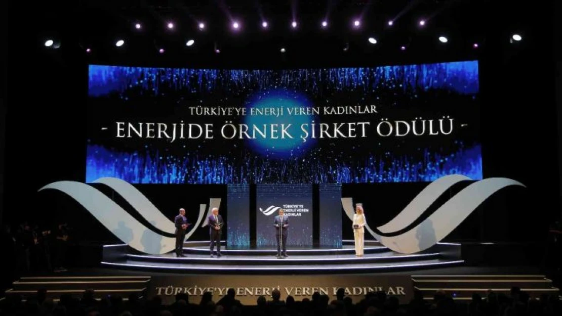 OEDAŞ'a 'Enerjide Örnek Şirket' ödülü