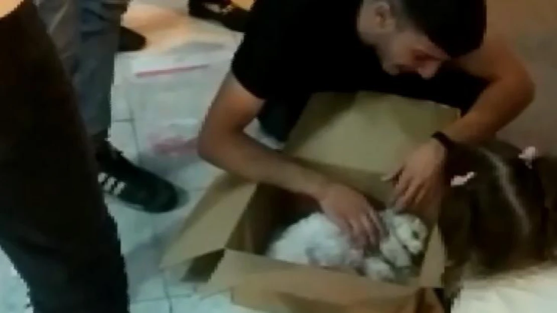 Ölen köpeğinin başında dakikalarca gözyaşı döktü