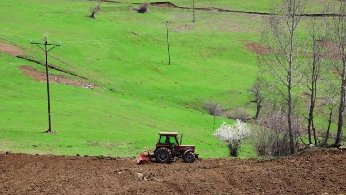 Ordu'da atıl araziler üretime kazandırılıyor