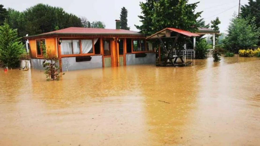 Ordu'da dereler taştı, kümes hayvanları telef oldu