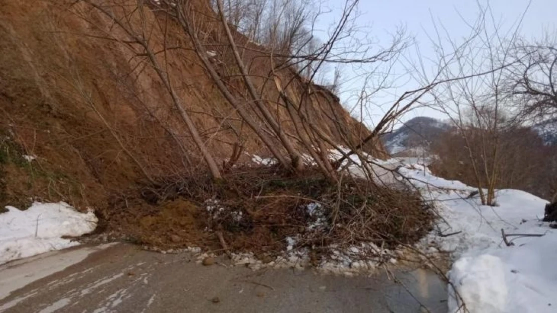 Ordu'da eriyen kar heyelanlara sebep oldu