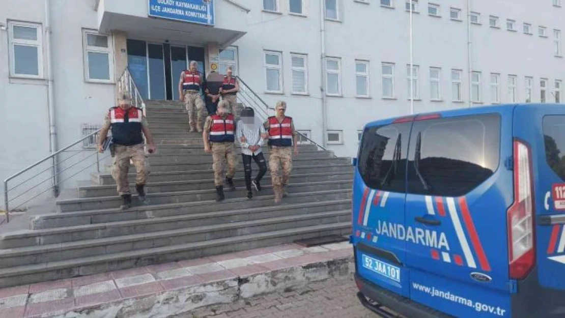 Ordu'da faili meçhul kablo hırsızlığını jandarma aydınlattı