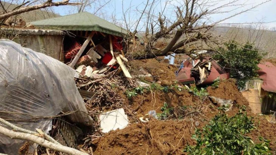 Ordu'da heyelan evleri yuttu: 3 ev ve bir ahır yıkıldı, inekler telef oldu