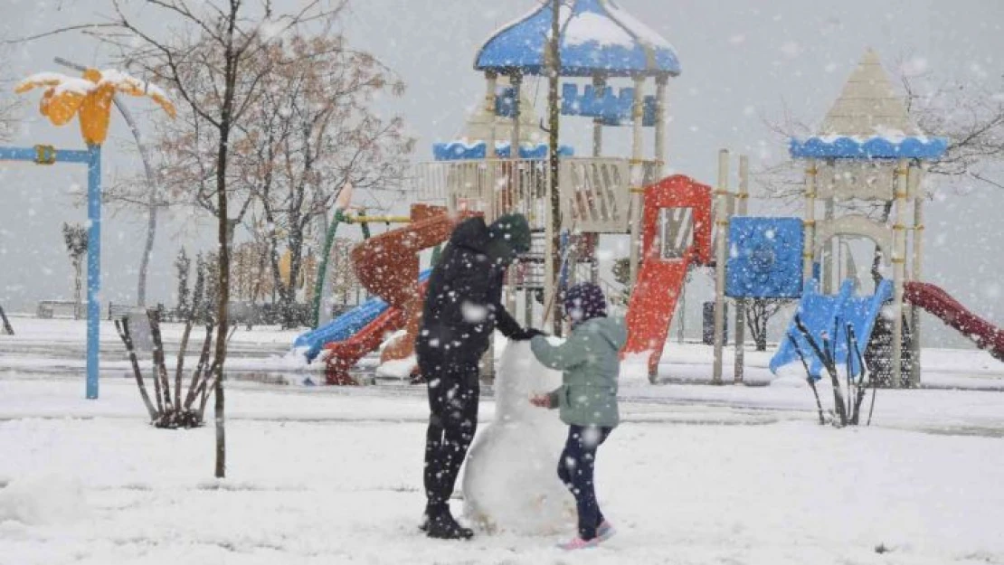 Ordu'da kar manzaraları