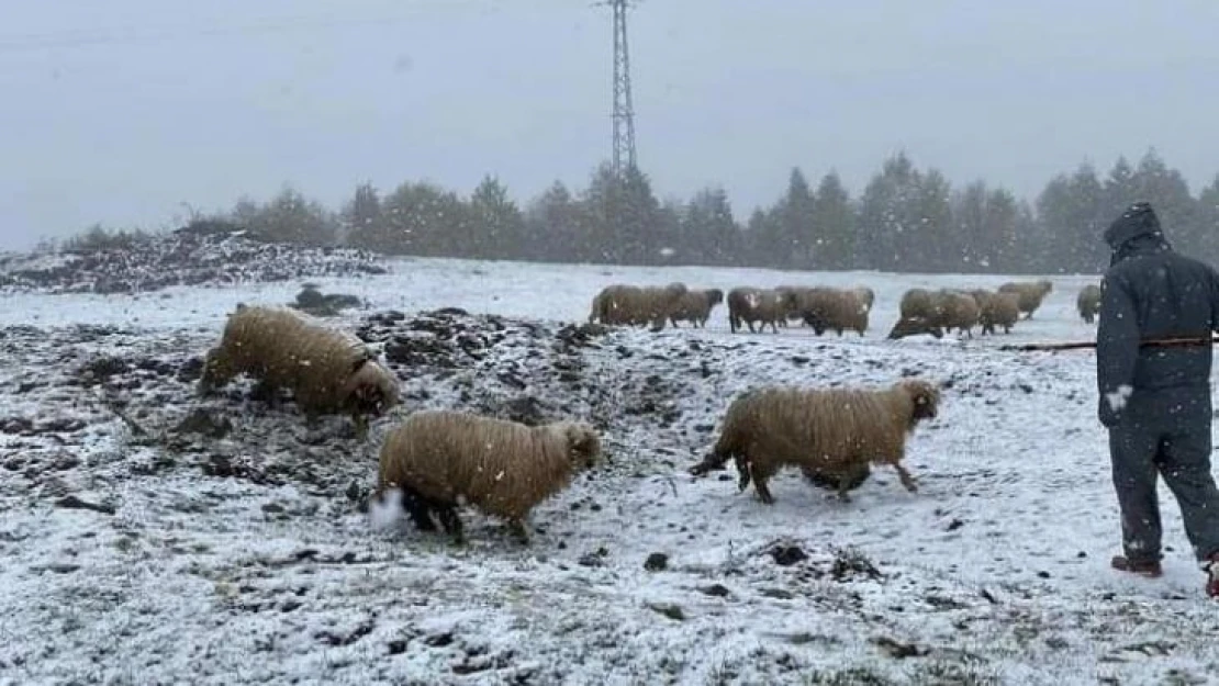 Ordu'da mayıs ortasında yağan kar şaşırttı