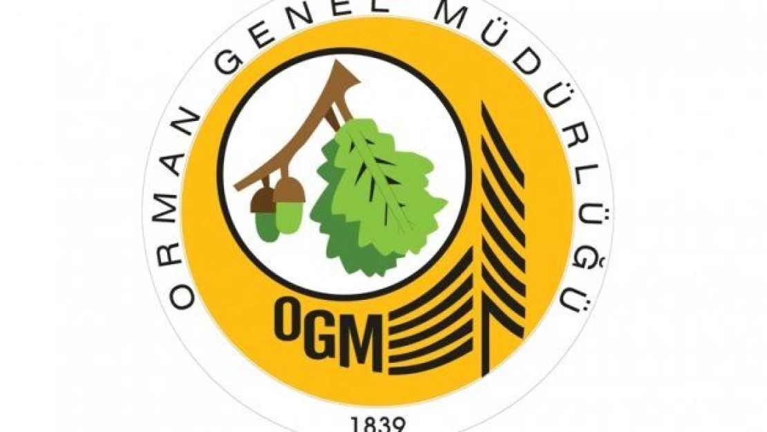 Orman Genel Müdürlüğü'ne personel alımı