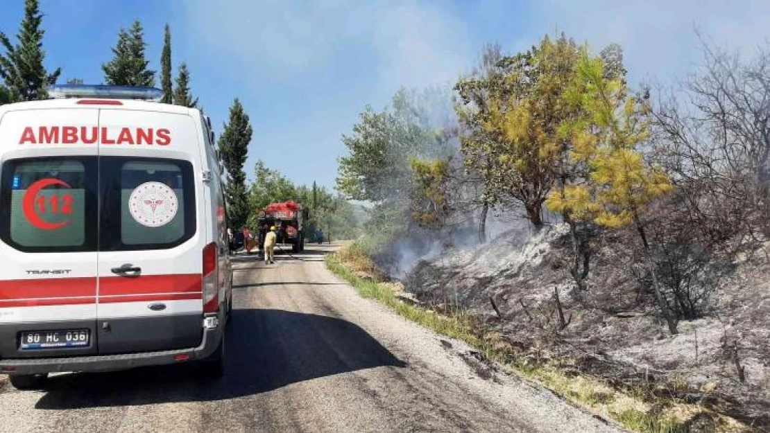 Osmaniye'de orman yangını kontrol altına alındı