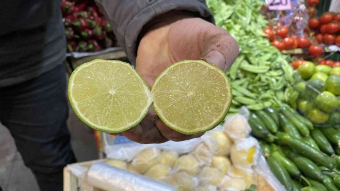 Oteller kasa kasa alıyor, lime limonuna talep yoğun