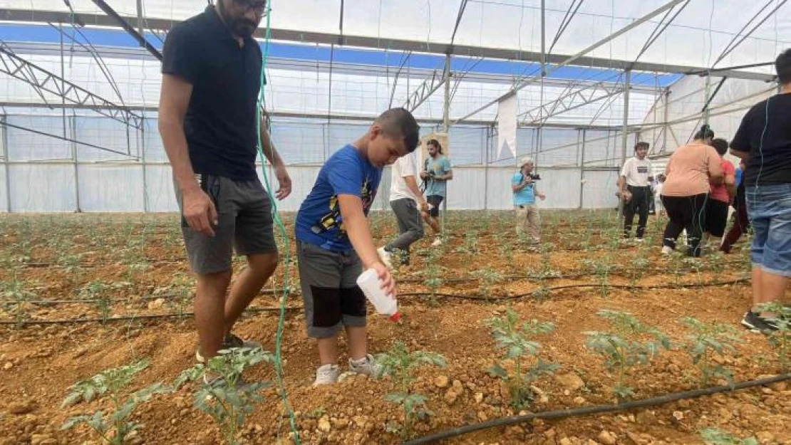 Otizmli gençler domates serasına faydalı böcek bıraktı