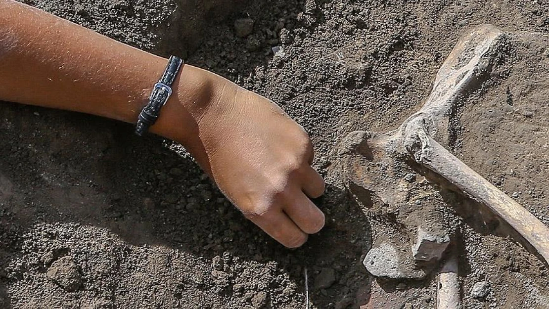 Otobüs büyüklüğünde timsah fosili bulundu