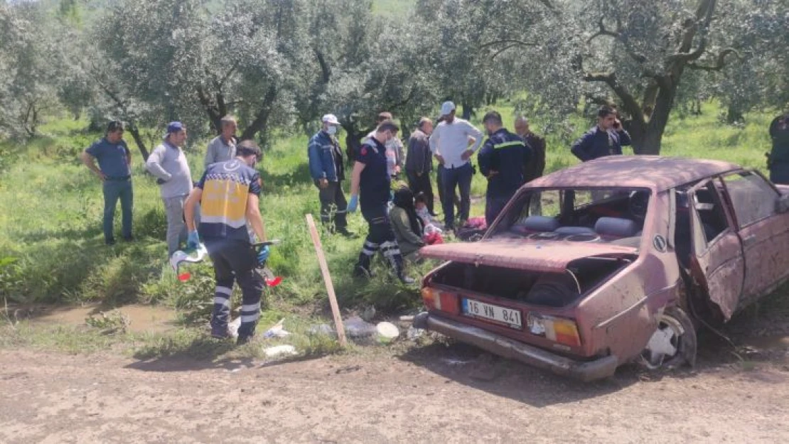 Otomobil zeytinliğe daldı: 2'si çocuk 4 yaralı