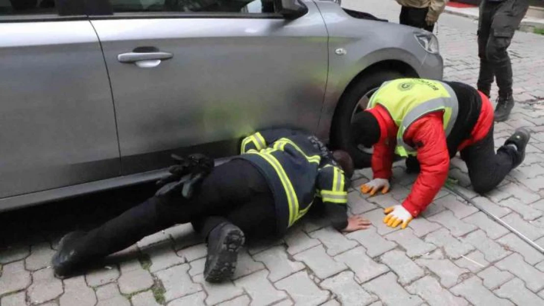 Otomobilin altına giren kediyi itfaiye kurtardı