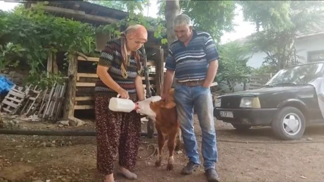 (ÖZEL) Egemen'inin adeta gözleri oldular