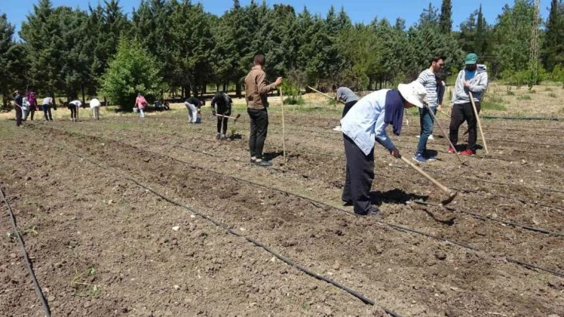 (Özel) Kapıdaki gıda krizi için çözüm üretimden geçiyor'