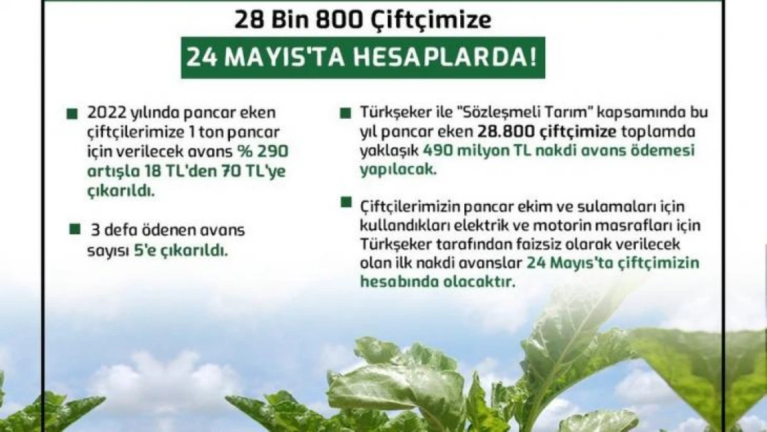 Pancar eken 28 bin 800 çiftçiye 490 milyon lira nakdi avans ödemesi yapılacak