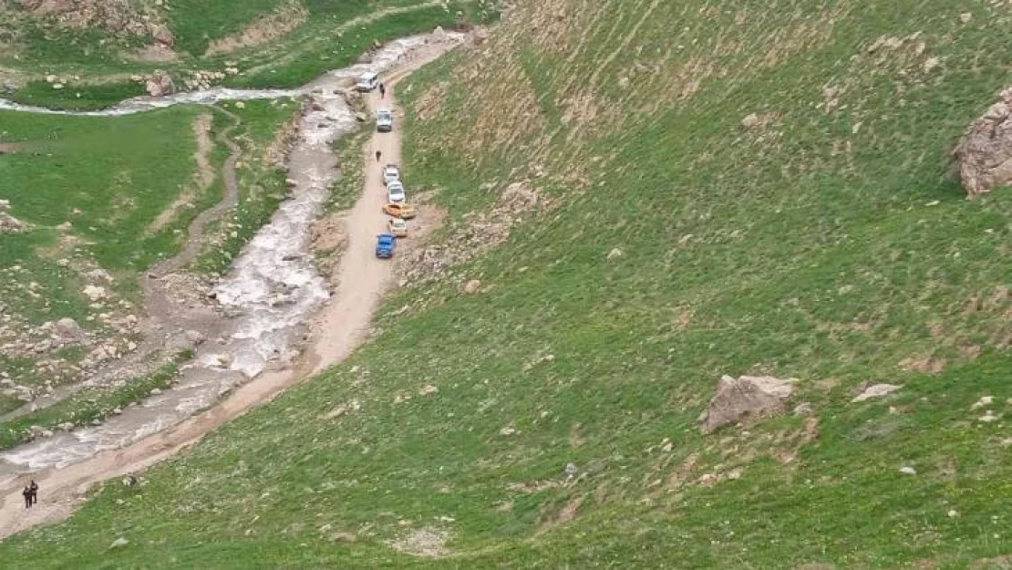 Pancar toplarken düşen kadın hayatını kaybetti