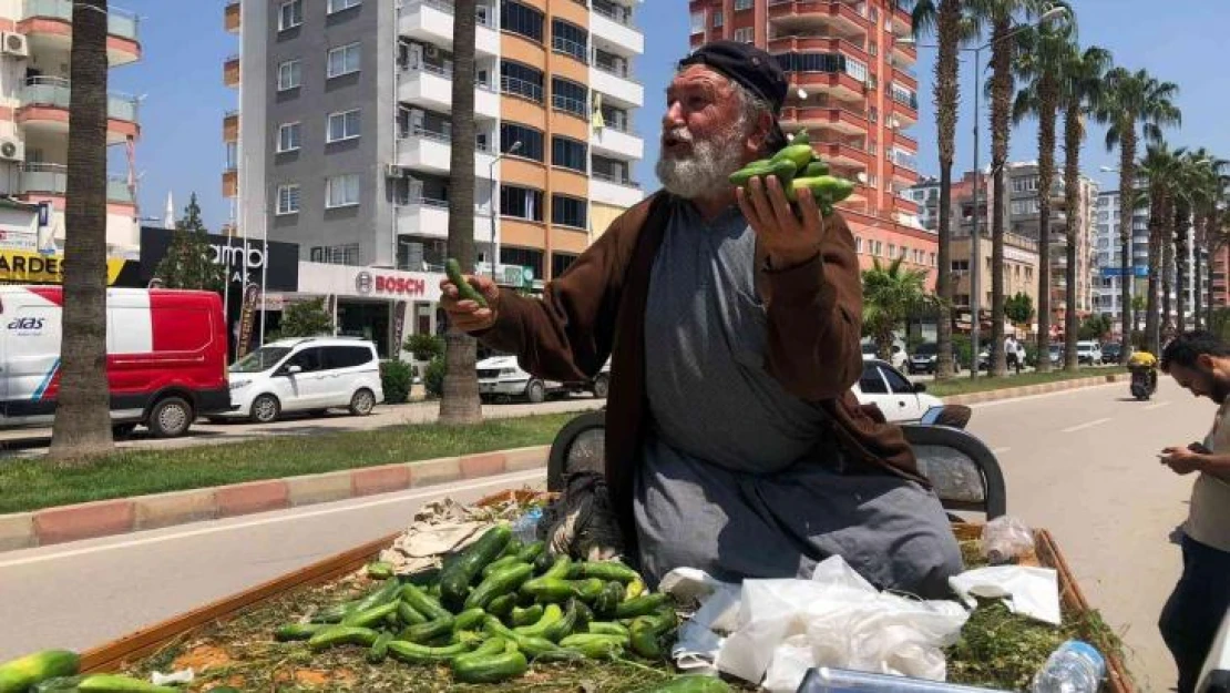 Parası olmayana bedava... Hem hayat dersi verdi hem ucuza salatalık sattı