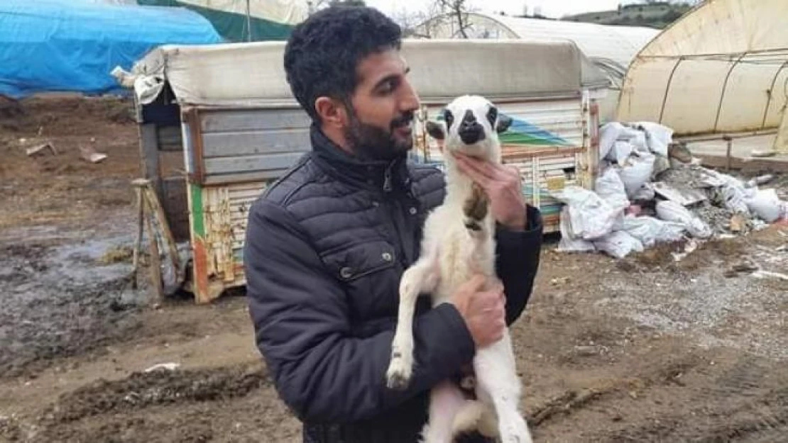 Pendik'te kaybolan adamın cesedi 5 yıl sonra toprağa gömülü halde bulundu