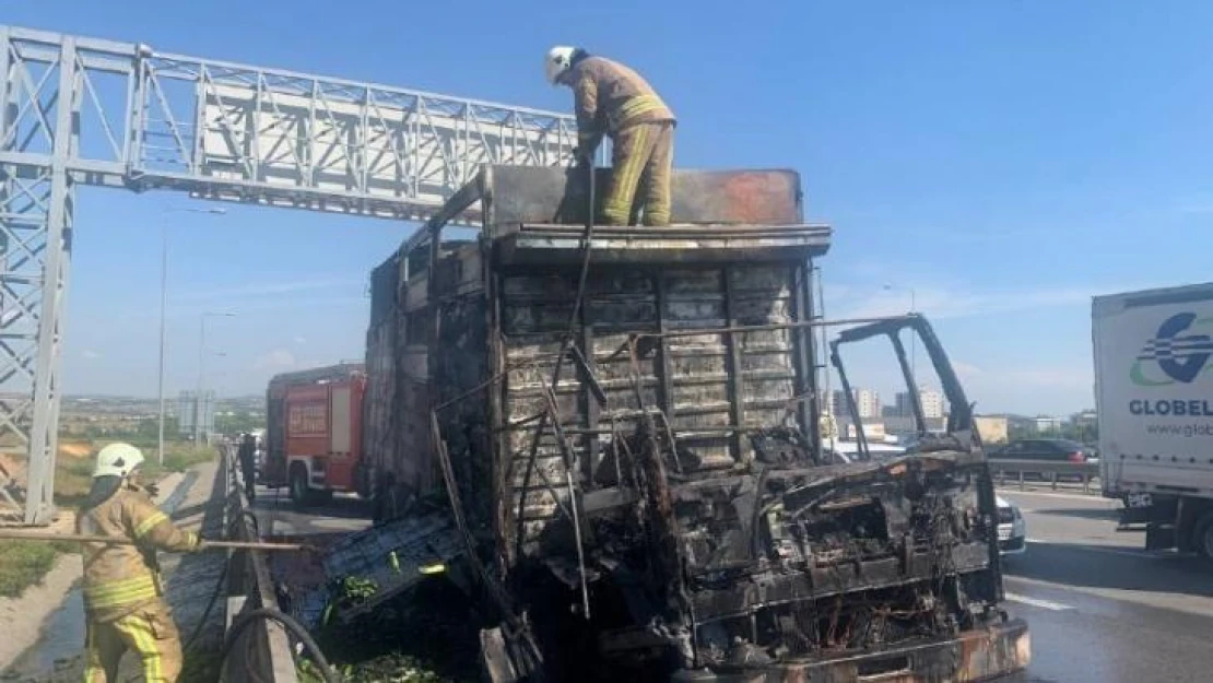 Pendik'te meyve sebze yüklü kamyon alev alev yandı