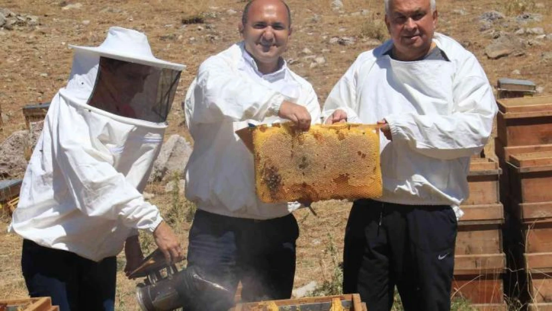 Petekler balla doldu, üreticinin yüzü güldü