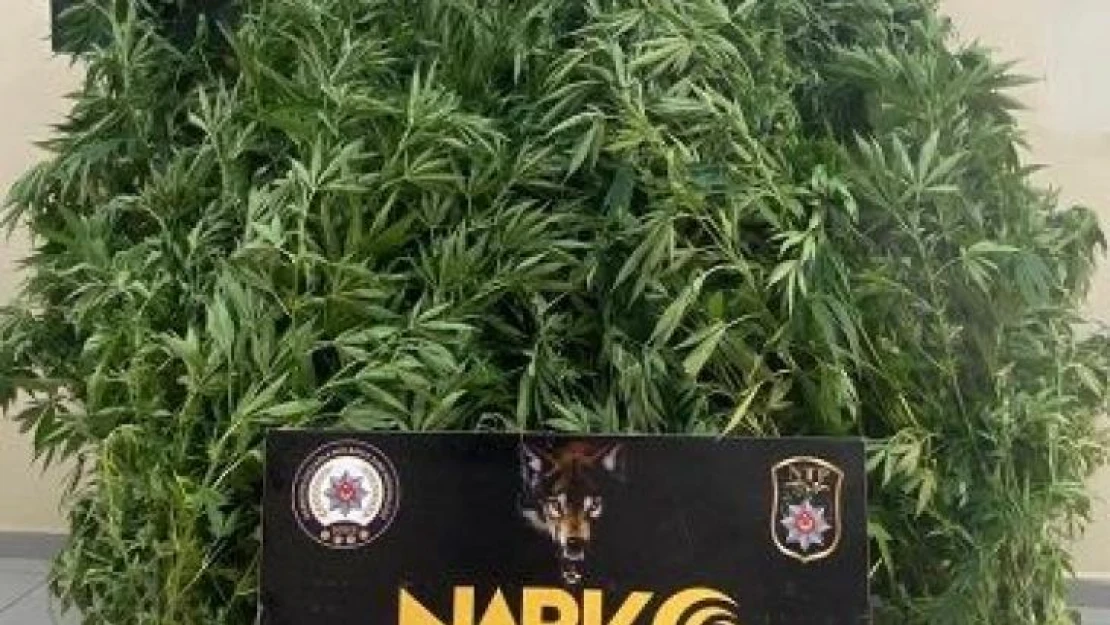 Polisten uyuşturucu operasyonu