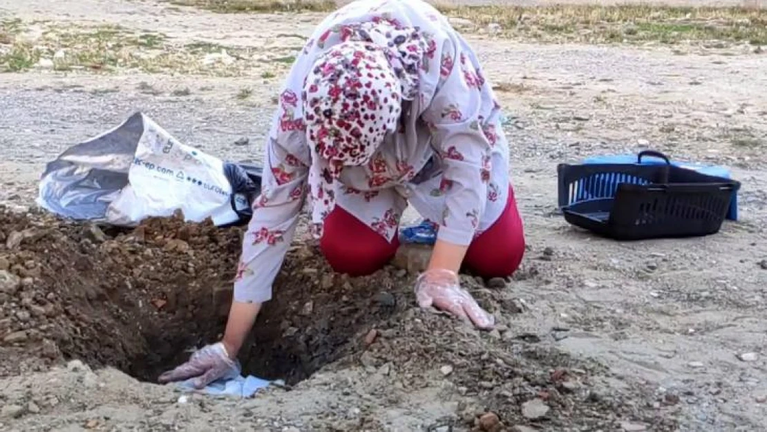 Pompalı tüfek ile öldürülen kedisi için ağladı