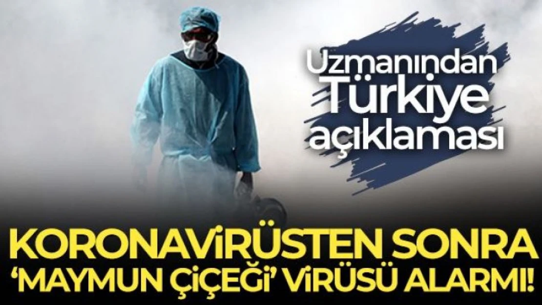 Koronavirüsten sonra maymun çiçeği virüsü alarmı