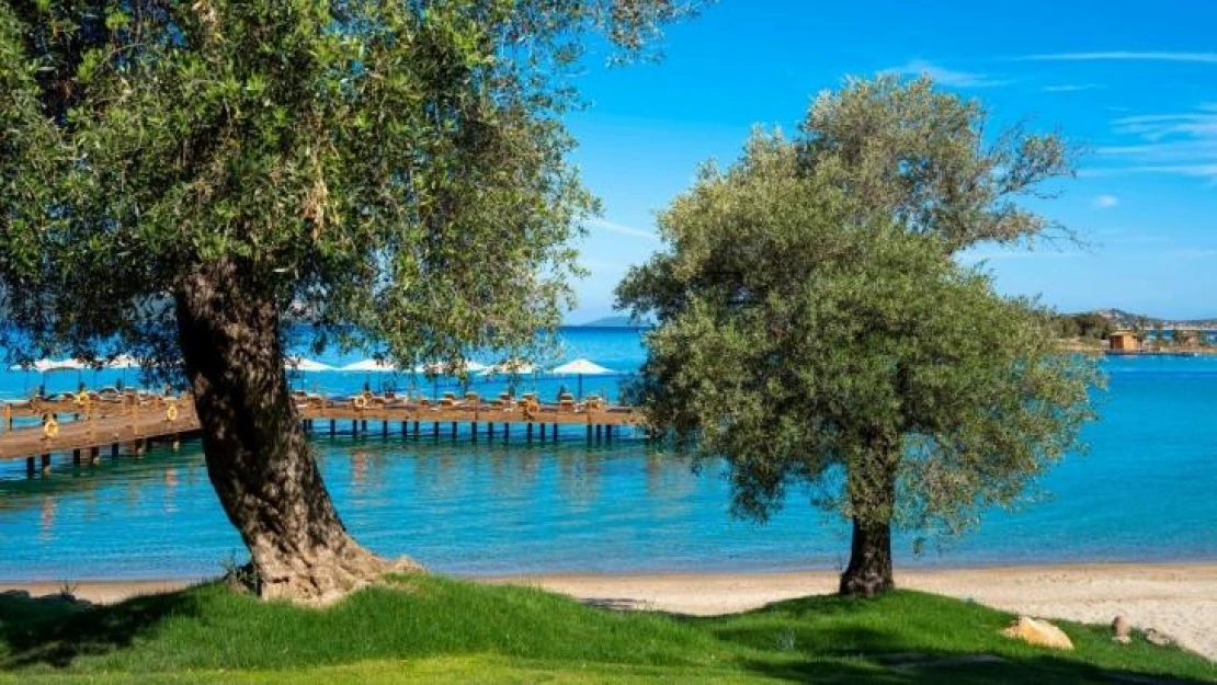 Rixos Olive Fest için geri sayım başladı