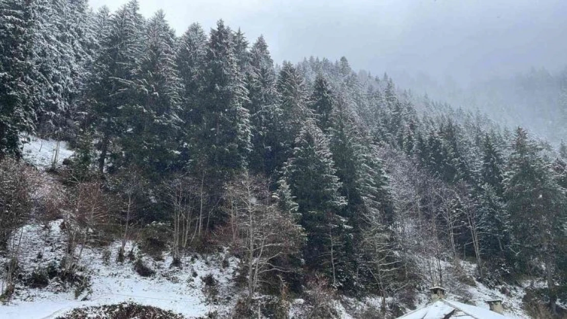 Rize'nin yüksek kesimleri Nisan ayında beyaza büründü