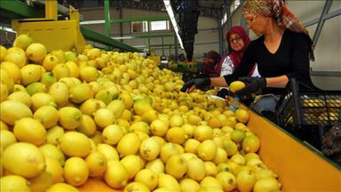 Rusya yaptırımları pazar çeşitliliğini gündeme getirdi