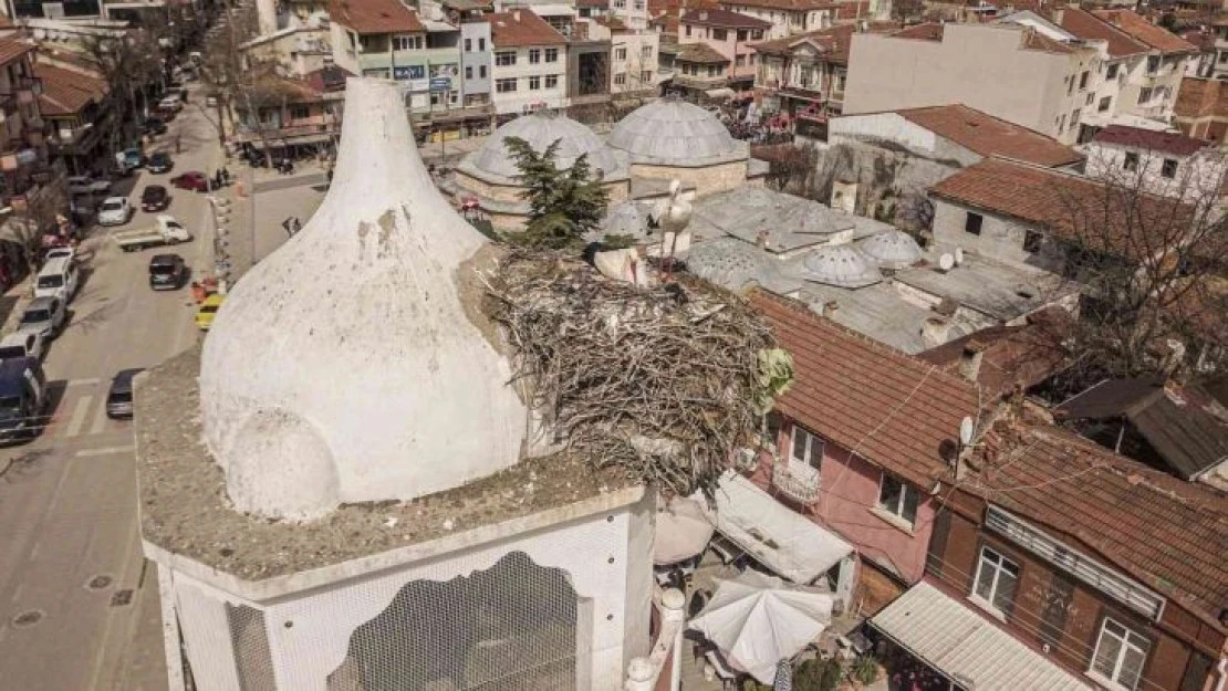 Saat kulesinin leylek çifti yuvasına döndü