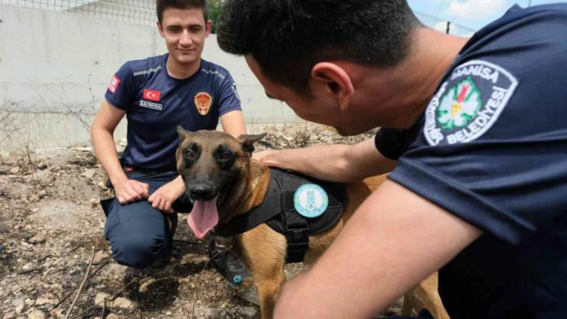 Sabotajcıların korkulu rüyası 'Tarzan' göreve hazır