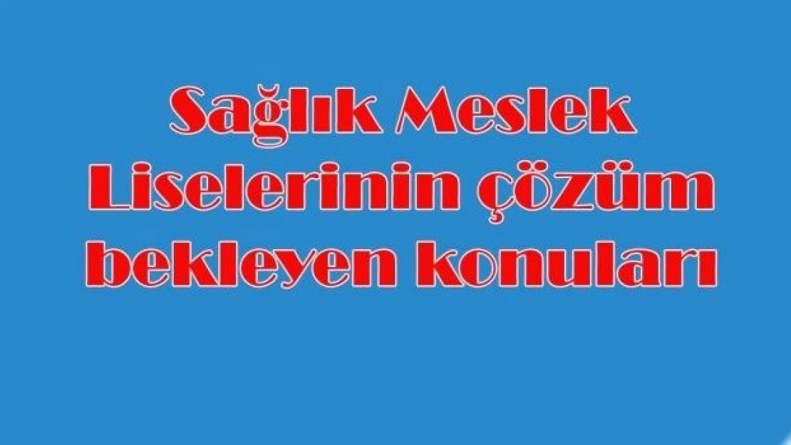 Sağlık Meslek Liselerinin geleceği karanlık mı?