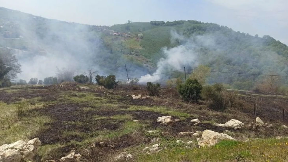 Sakarya'da arazide korkutan yangın: Evlere metreler kala söndürüldü