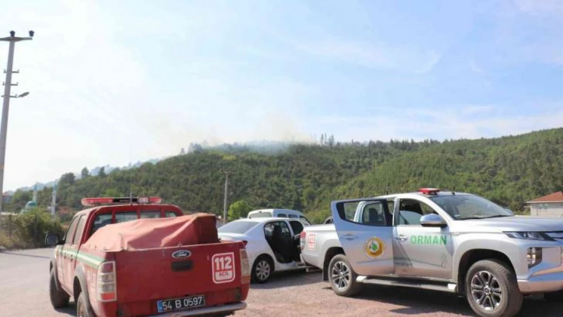 Sakarya'da ormanlık alanda yangın çıktı, çok sayıda ekip sevk edildi