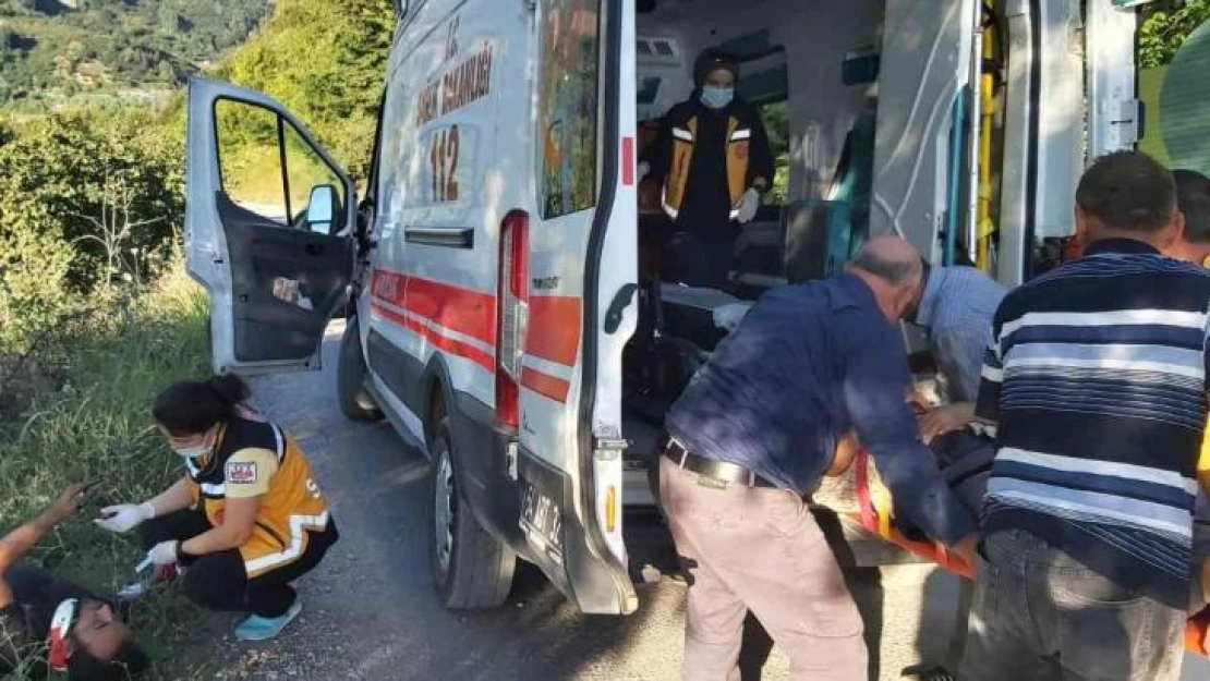 Sakarya'da otomobil fındık bahçesine uçtu: 2 yaralı