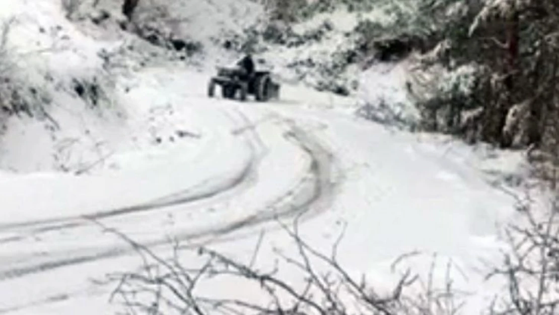 Sakarya'da yürekleri ağza getiren görüntü