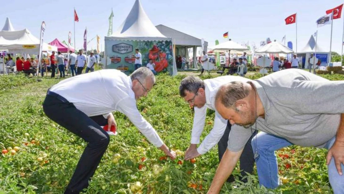 Salçalık domateste marka olan Karacabey'de domates fuarı