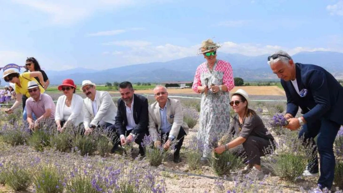 Salihli'de lavanta şenliğinin üçüncüsü yapıldı