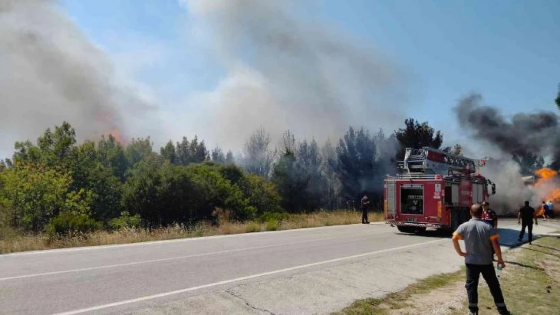 Saman yüklü tır alev aldı, yangın ormanlık alana sıçradı