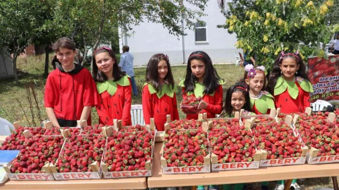 Samsun'da çilek üretimi artıyor