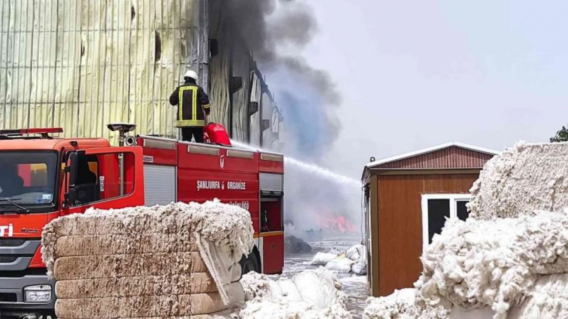 Şanlıurfa'da fabrika yangını